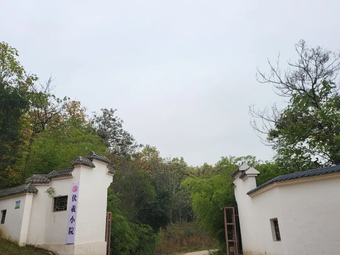 圣水寺旁，城市之外▏新零售為會員打造“桃花源”——伏羲小院